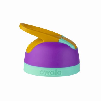 Owala Flip Replacement Lids Purple Canada | HESNJ-4753